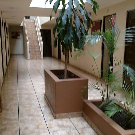 Hotel Platino Гвадалахара Экстерьер фото